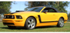 2005-09 Mustang L-Side Stripe Kit - Use with Fender Emblems